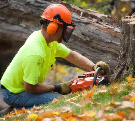 tree services Camdenton